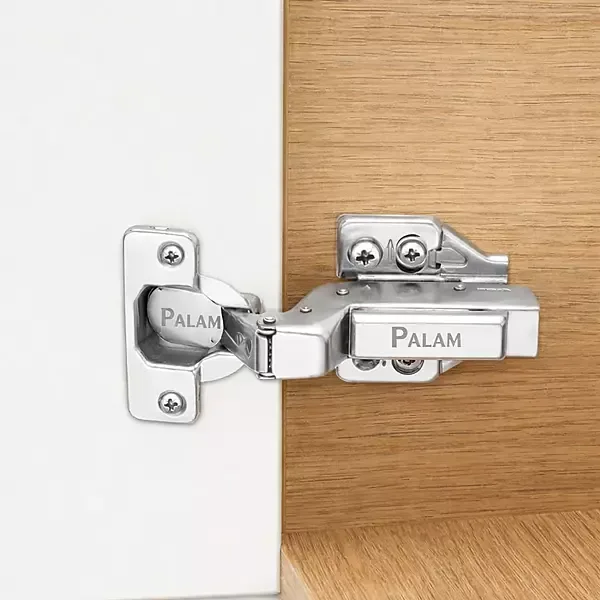 Palam Auto hinges